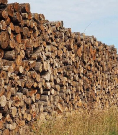 Camion di tronchi – Faggio, Quercia, Carpino – 30 steri