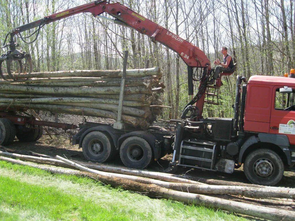 Camion di tronchi – Castagno – 50 steri