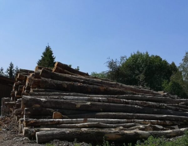 Camion di tronchi – Faggio, Quercia, Carpino – 20 steri