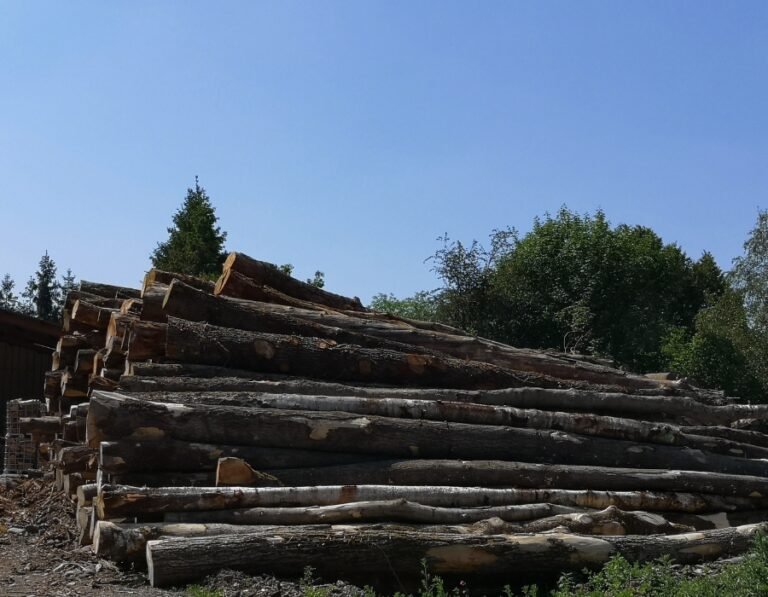 Camion di tronchi – Faggio, Quercia, Carpino – 20 steri