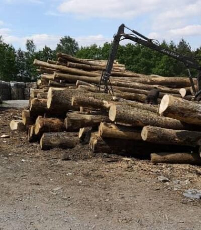 Camion di tronchi ultra secchi – Faggio, Quercia, Carpino – 30 steri