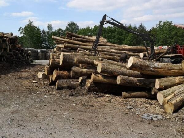 Camion di tronchi ultra secchi – Faggio, Quercia, Carpino – 30 steri