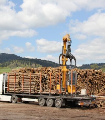 Camion di tronchi – Faggio – 60 steri