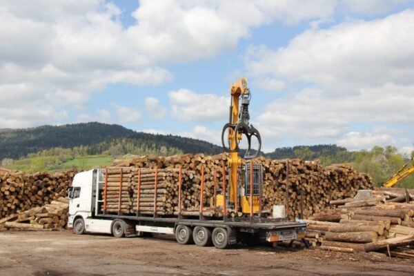 Camion di tronchi – Faggio – 60 steri